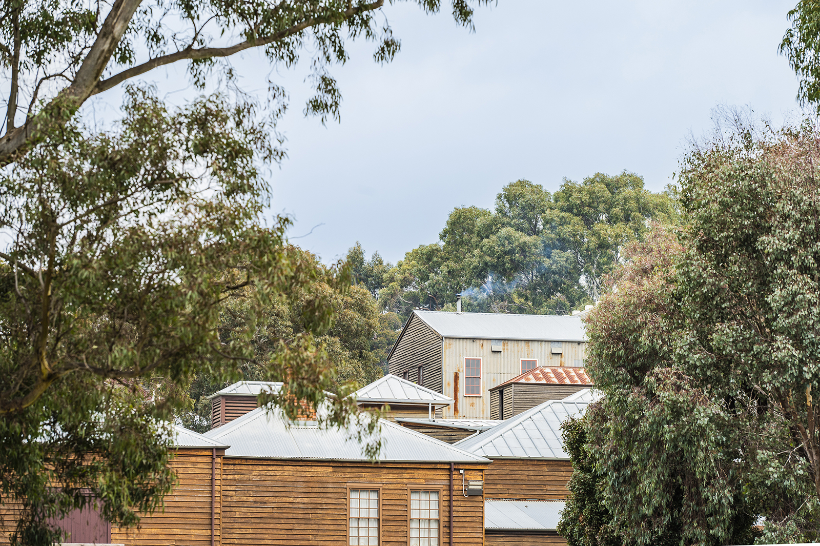 City of Ballarat Jellis Craig