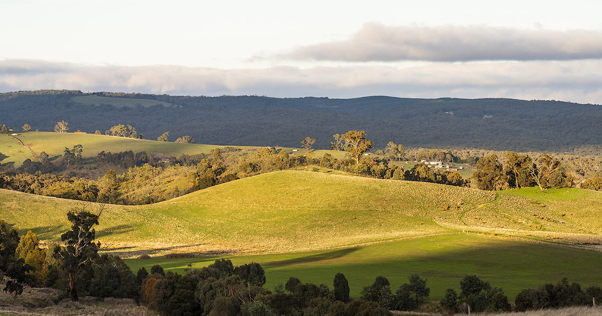 Macedon Ranges Spring Macedon Ranges Shire | Jellis Craig
